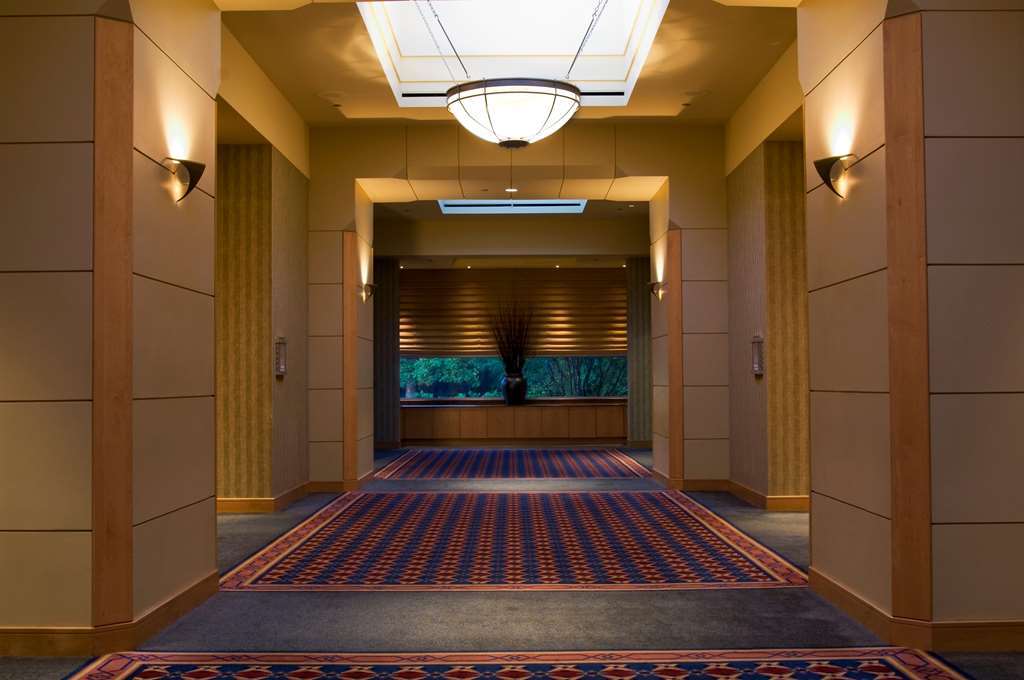 Готель Hyatt Centric Chicago Ohare Розмонт Інтер'єр фото
